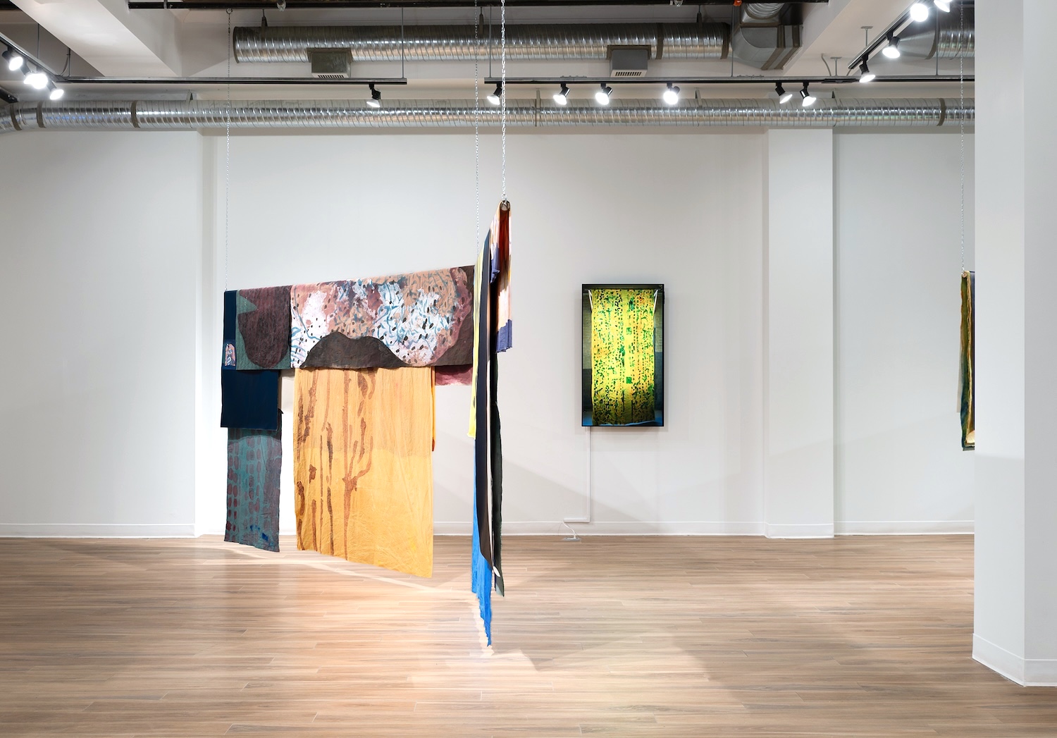 Ace Art installation view